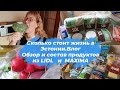 Эстония.Сколько стоит жизнь в Таллинне?Закупка продуктов в Maxima,Lidl.Цены,состав продуктов.Влог