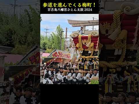 参道を進んでくる梅町❗【ふとん太鼓 2024】百舌鳥八幡宮 月見祭り/ Futon drum