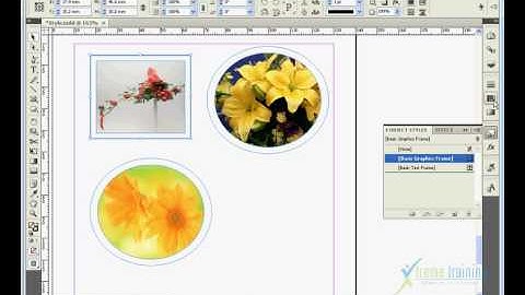 Adobe Indesign CS4 (TAMIL) STYLE==Object Style-005.flv