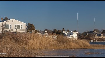 #HamRadio Live! Show 376. How To Build Phased Array Vertical & Beverage Antennas With William, W1ZY!