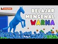 Belajar Warna dan Mengenal Suara Hewan - Kuda Bola Warna-warni