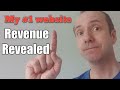 My Number 1 NICHE WEBSITE | Behind the scenes look and REVENUE earnings