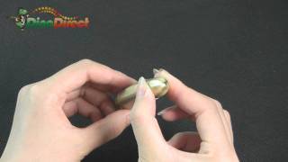 Butane Lighter with LED Flashlight Bullet Style - dinodirect screenshot 5