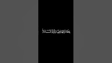 الله نور السموات والأرض مثل نوره كمشكاة | سورة النور | أحمد بن طالب | كروما شاشة سوداء