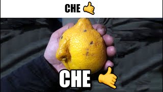 RANDOM MEMES #502