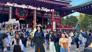 Walking Tour Sensoji Temple in Asakusa - The Most Iconic Temple in Tokyo Japan #walkingtour #travel