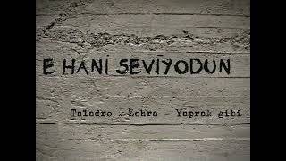 Taladro & Zehra - Yaprak Gibi ( Muhteşem Mix ) #S.E.V #keşfet Resimi