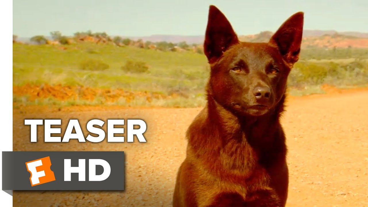 Red Dog: True Blue Official Teaser Trailer 1 (2016 ...