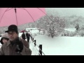 Snow in Shirakawa-go UNESCO heritage site, Japan