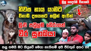 නිවස නාය යාමට විනාඩි දහයකට කලින් ඇවිත් මුළු පවුලම බේරාගත් වීර සුනඛයා - Kalu