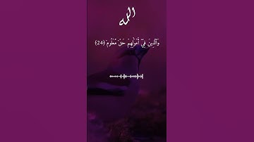اذكرو الله العظيم يذكركم القران الكريم #quran #قرآن #اكسبلور #لايك #حالات_واتس #قرانكريم #راحة_نفسية