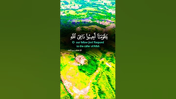 تلاوة خاشعة تريح القلب قرأن كريم راحة نفسية #elmulquranعلم #قران_كريم #trend #المصحف #duet