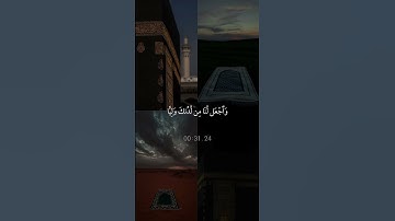 سورة النساء|75-76|القارئ:#ياسر_الدوسري #قرآن #quran  #قران_كريم #تلاوة #تلاوة_هادئة