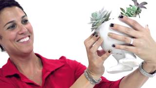 Unique Footed Bowls and Mugs Share Joy at Bed, Bath and Beyond