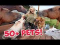 Feeding ALL My Pets TREATS in One Video | 50+ Pets!