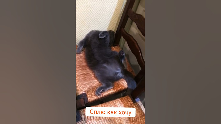 Не будите спящего кота | Что будет если разбудить кота?! | What happens if you wake up the cat ?!