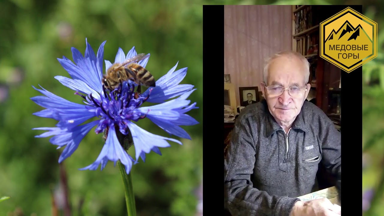 Владимир Георгиевич Кашковский "Ответы на вопросы пчеловодов"22.05 ...