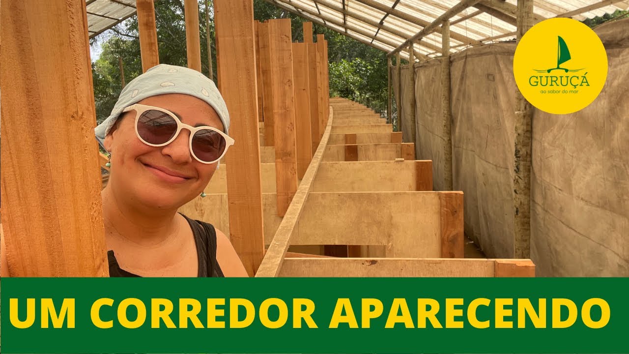 191| UM CORREDOR APARECENDO: construção de um veleiro catamarã