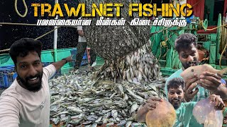 ஆத்தி ⁉️எத்தனை வகையான மீன்கள் கிடைச்சிருக்கு | Deep sea fishing - Trawlnet fishing.