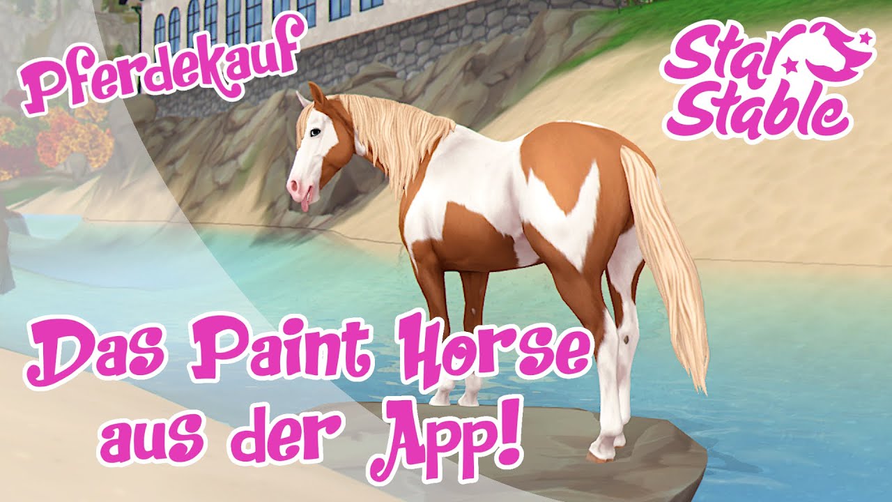 Star Stable [SSO] Pferdekauf - Das Paint Horse aus der App