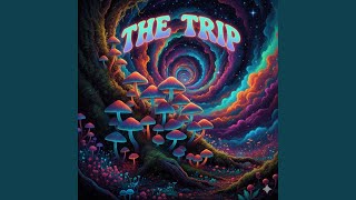 LSD Trip - F1luren