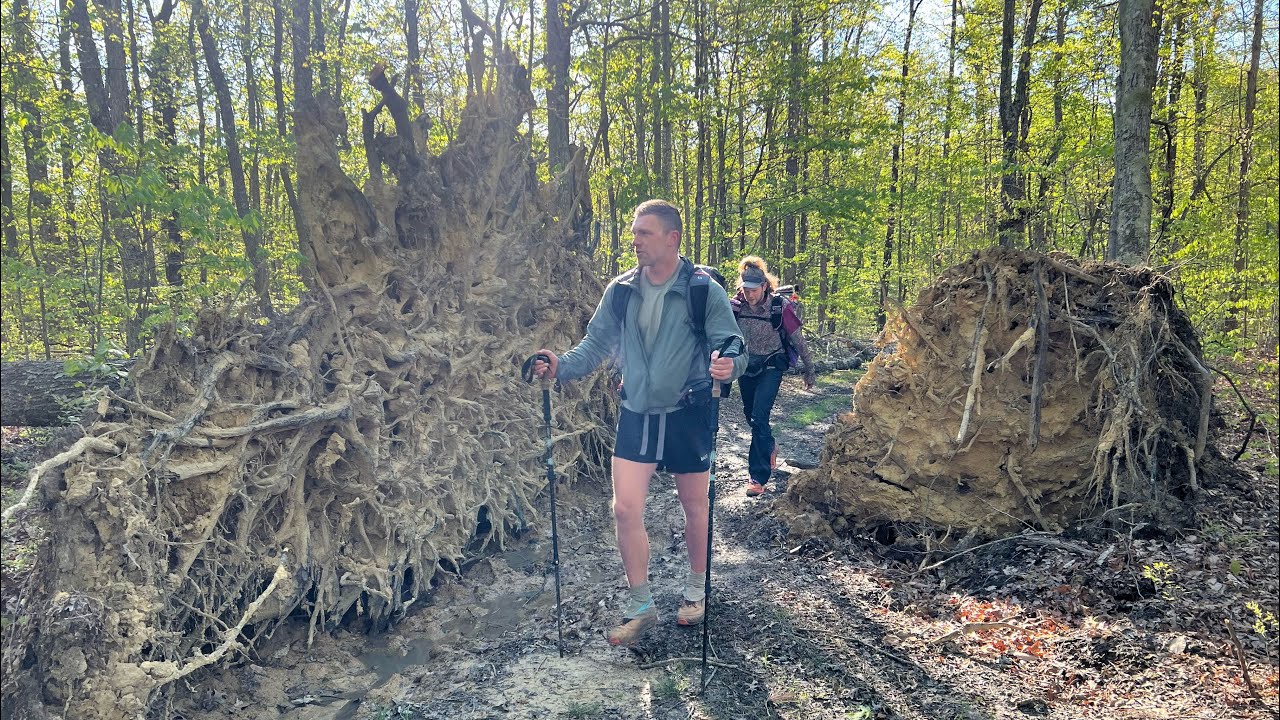 Sheltowee Trace Trail Thru Hike Day 7