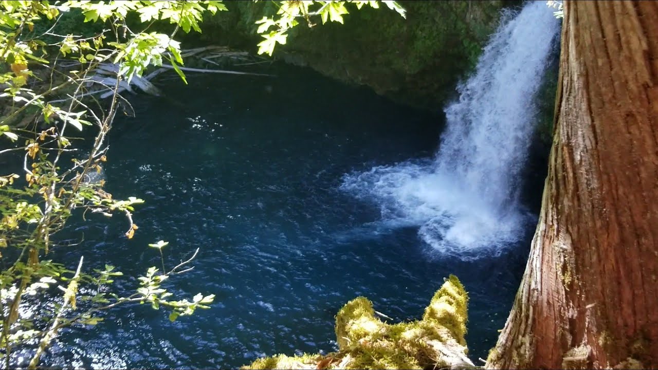 Kalama Falls (Beautiful Waterfall View) Washington YouTube