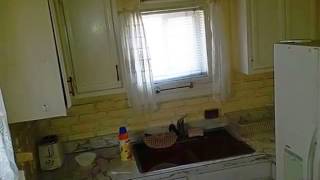 Career Overview Homes for Sale - 168 W Walton Blvd Pontiac MI 48340 - Sue Krumrey