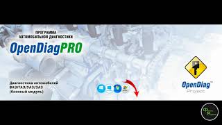 OpenDiagPRO (USB) screenshot 4