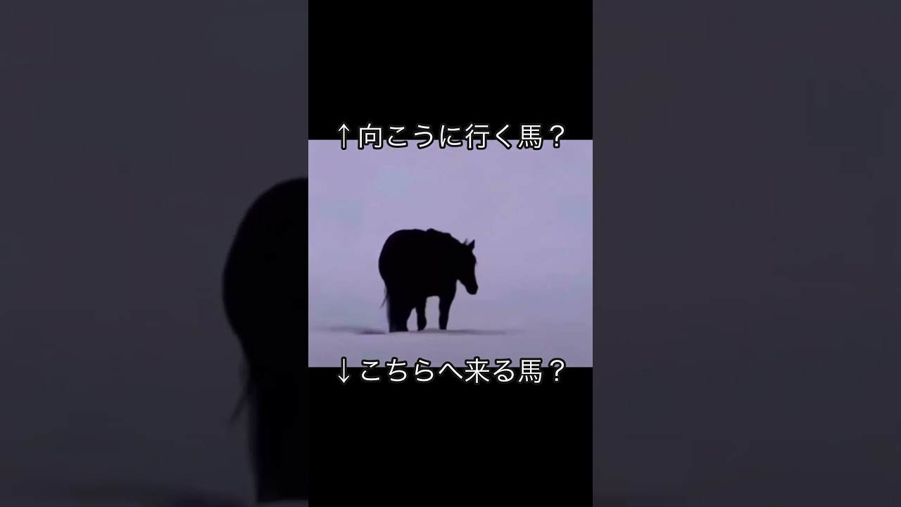 どっちに見える？#不思議 #不思議現象 #不思議な世界 #どっち派 #どっち #錯覚