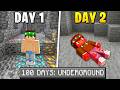 ECCO COME SONO MORTO AL PRIMO GIORNO... - 100 DAYS: UNDERGROUND MINECRAFT