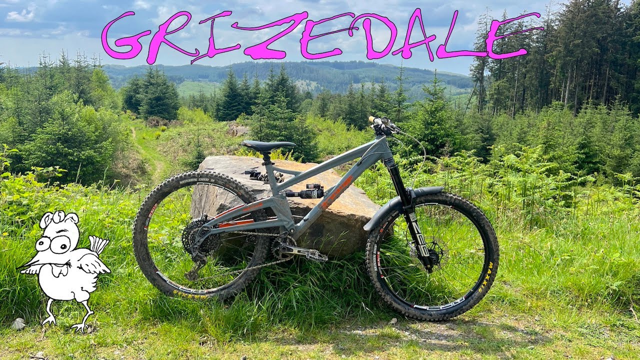 Grizedale Forest - finding some challenging trails