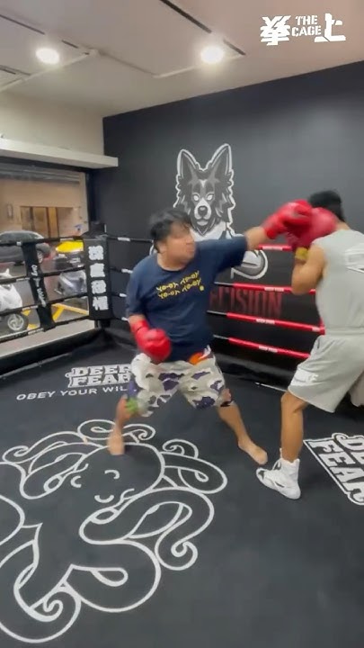 [問卦] 統神應該都可以打趴現在泰森吧