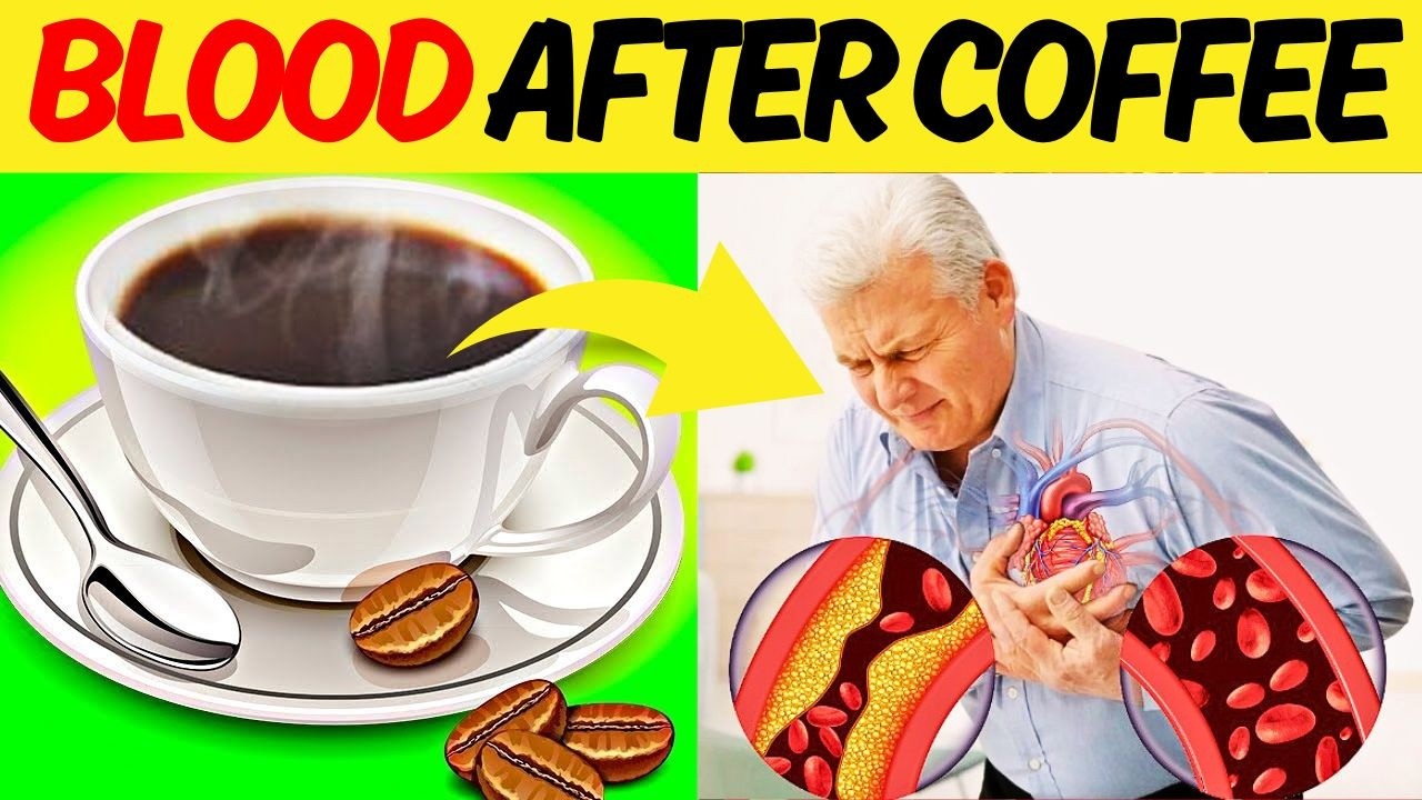 How Does Coffee Affect The Blood And Blood Vessels? The Benefits And