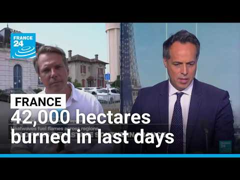 France: Major Gironde wildfire contained • FRANCE 24 English