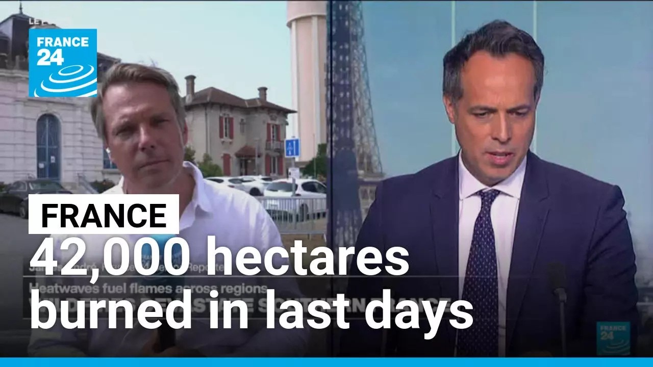 France: Major Gironde wildfire contained • FRANCE 24 English
