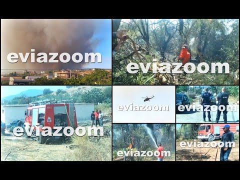 EviaZoom.gr - Φωτιά σε οικισμούς των Ψαχνών: ΕΙΚΟΝΕΣ & ΒΙΝΤΕΟ από την πυρκαγιά (21-08-2023)