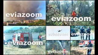 EviaZoom.gr - Φωτιά σε οικισμούς των Ψαχνών: ΕΙΚΟΝΕΣ & ΒΙΝΤΕΟ από την πυρκαγιά (21-08-2023)