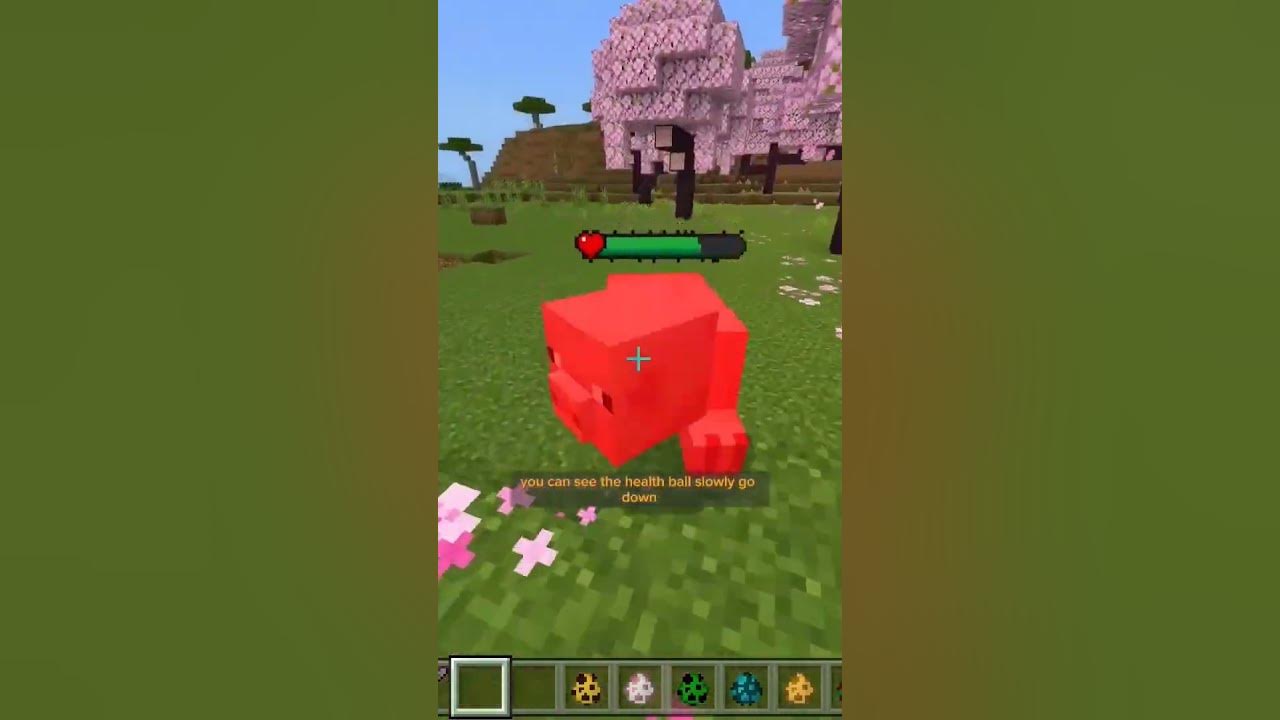The best simple health bar indicator in mcpe 1 20 mob health