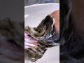 Реконструкция волос Oyster Rebirth. Пошаговая инструкция в описании под видео.