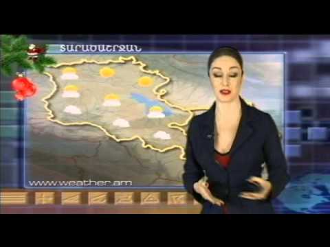 Video: Բշտիկները դադարեցնելու 9 եղանակ ՝ ձեր շանը կծելուց, լեղի շամպունից մինչև վակուում