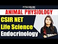 CSIR NET LIFE SCIENCES June'2024' | Animal Physiology | Endocrinology | L- 3 | Shruti Shukla |