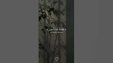 سورة الاعلي بصوت الشيخ عبدالرحمن مسعد #قران_كريم