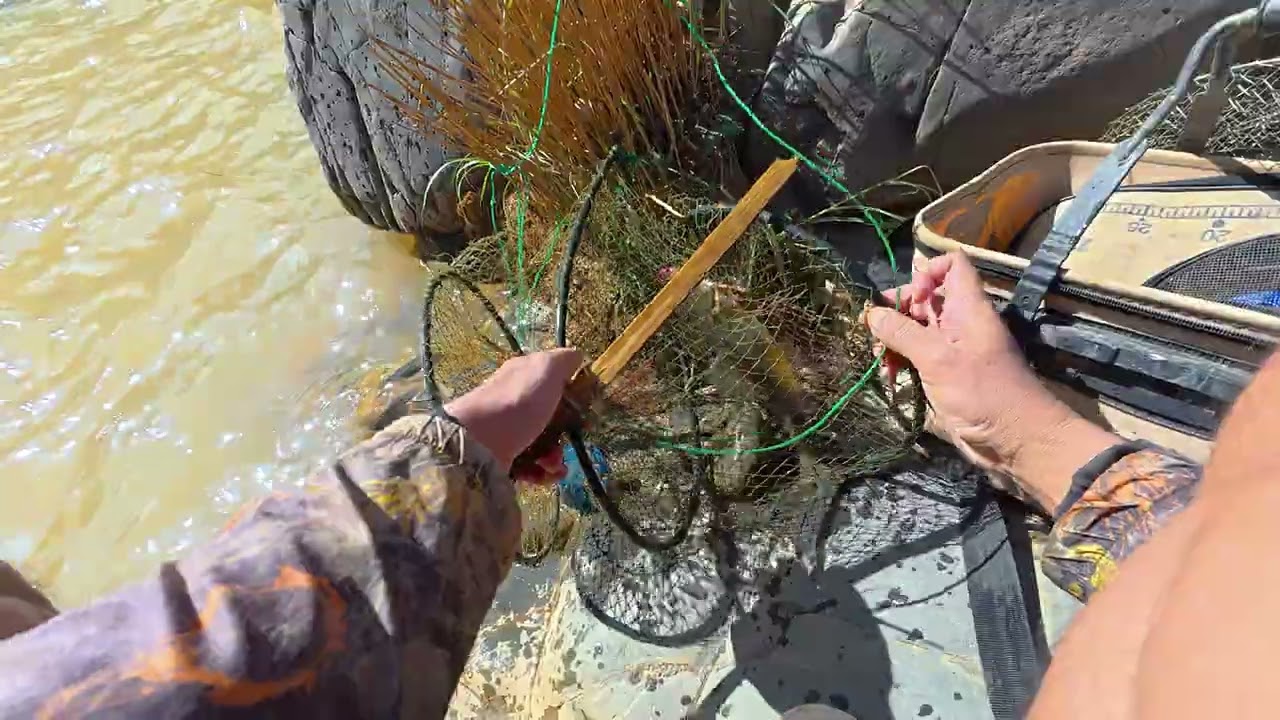 Đi Thăm Lợp Cá Lần Thứ 5 Sau 1 Tháng Nuôi Ổ sẽ có gì??? 🏕️