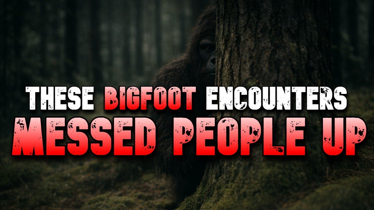 THESE BIGFOOT ENCOUNTERS MESSED PEOPLE UP