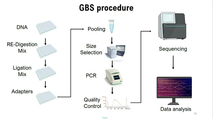 NanoGBS - A Miniaturized Procedure for Genotyping By Sequencing Library Preparation