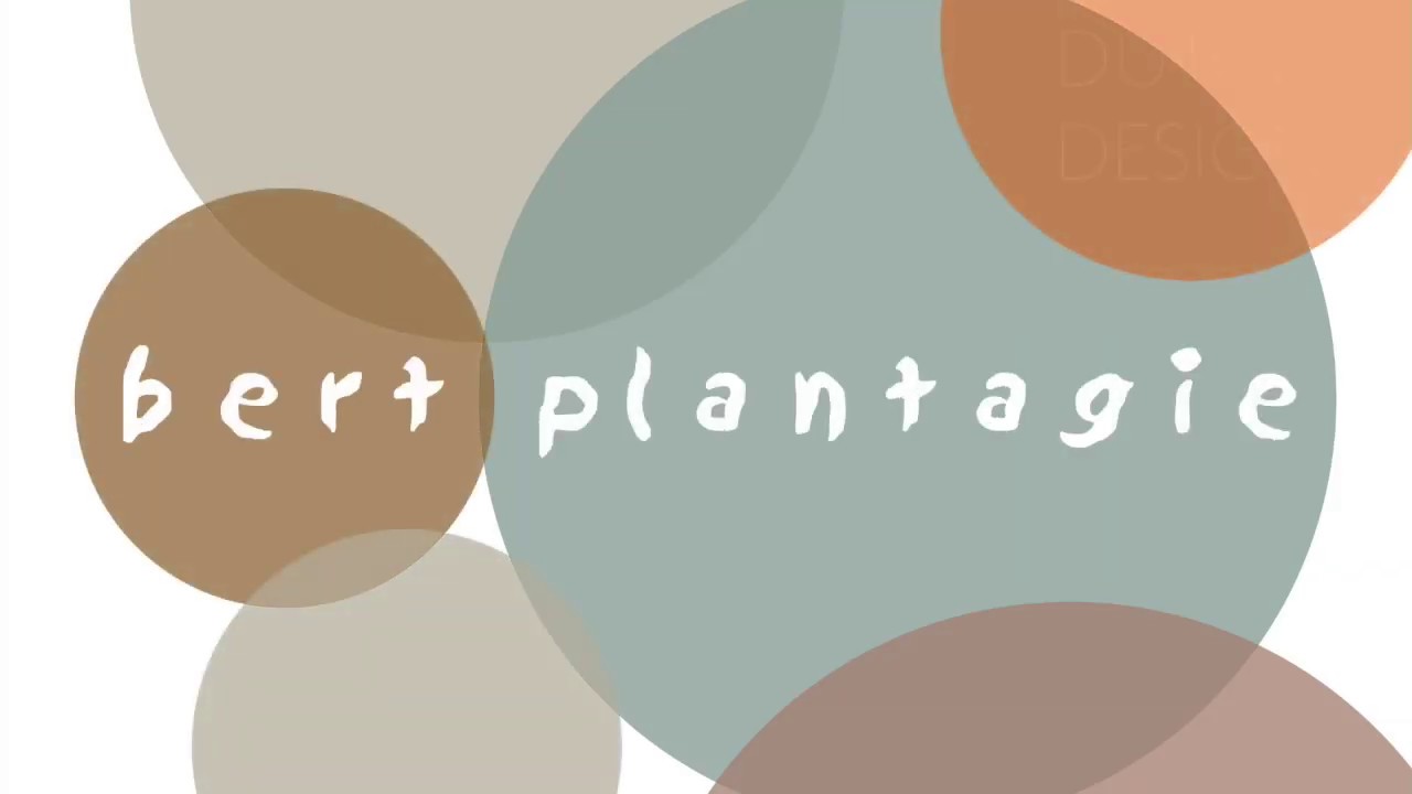 Firmenpräsentation bert plantagie Deutschland