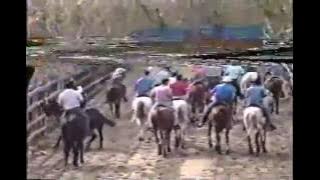Toros Colados - Homenaje a la Asociación de Coleo - DHH