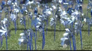 Pinwheels for Prevention: April is Child Abuse Prevention Month