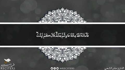 ما تيسر من سورة البقرة بصوت القارئ جابر الشحي